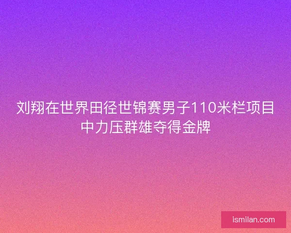 刘翔在世界田径世锦赛男子110米栏项目中力压群雄夺得金牌