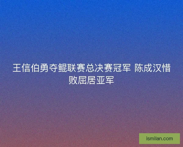 王信伯勇夺鲲联赛总决赛冠军 陈成汉惜败屈居亚军